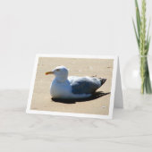 Carte Mouette sur la plage portrait (Devant)