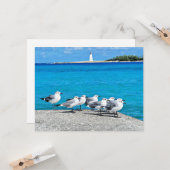 Carte Mouettes, Nassau, Bahamas (Devant/Arrière en situation)