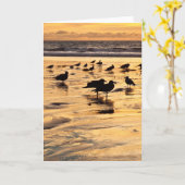 Carte Mouettes Sur La Plage Au Coucher Du Soleil (Fleur jaune)