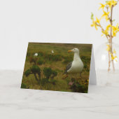 Carte Mouettes sur l'île d'Anacapa (Fleur jaune)