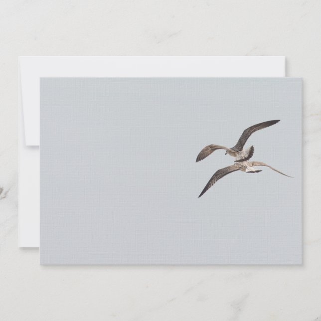 Carte Mouettes volantes (Devant)