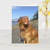 Carte mouillé (Fleur jaune)