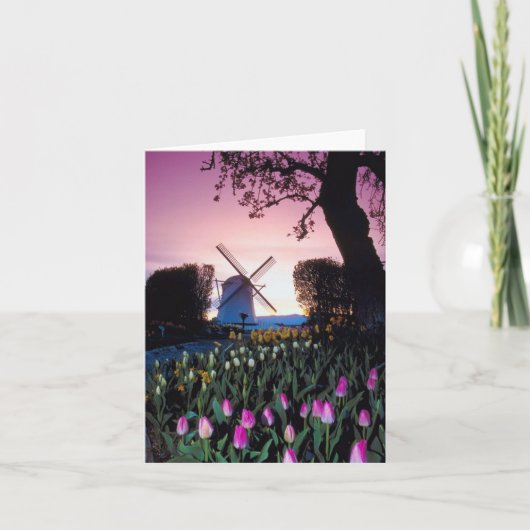 Carte Moulin à vent néerlandais au coucher du soleil (Devant)