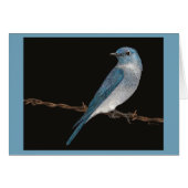 Carte Mountain Bluebird (Devant Horizontal)