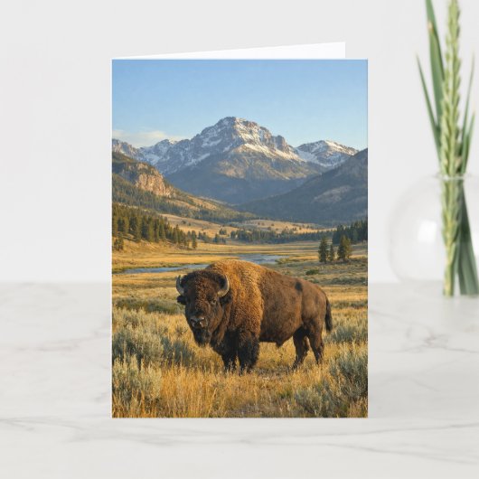 Carte Mountain Landscape American Bison Blank (Devant)