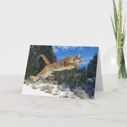 Carte Mountain Lion Greeting Card (Devant)