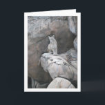 Carte Mountain Lion Portrait<br><div class="desc">Mountain Lion Portrait Greeting Card. You can easily customize this product for free if you would like to add wording or change the color of the background.</div>