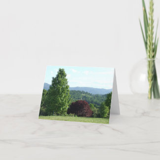 Carte Mountain View