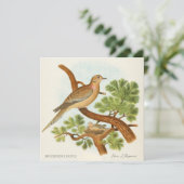 Carte Mourning Dove by Edwin L. Sheppard (Debout devant)