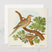 Carte Mourning Dove by Edwin L. Sheppard (Devant / Derrière)