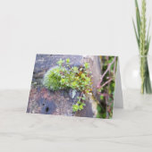 Carte Mousses avec de minuscules Fleurs, Éveil de printe (Devant)