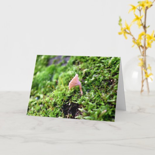 Carte Mousses et lichens avec de minuscules champignons (Fleur jaune)