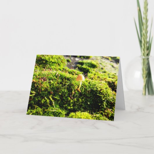 Carte Mousses et lichens avec de minuscules champignons (Devant)