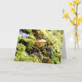Carte Mousses et lichens avec de minuscules champignons (Fleur jaune)
