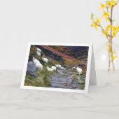 Carte Moutons au lac (Fleur jaune)