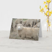 Carte Moutons curieux (Fleur jaune)