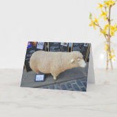 Carte Moutons de rue (Fleur jaune)