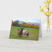Carte Moutons du Vermont de joyeux anniversaire en (Fleur jaune)
