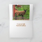 Carte Moutons Et Chèvres Bénéficient D'Un Bon Soutien (Intérieur)