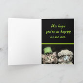 Carte Mr and Mrs Cat Anniversary Card (Intérieur)
