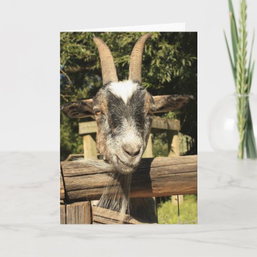 Carte Mr. Goat (Devant)