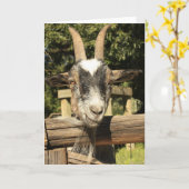 Carte Mr. Goat (Fleur jaune)