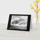 Carte Mt. Aconcagua en Argentine 1902 (Fleur jaune)