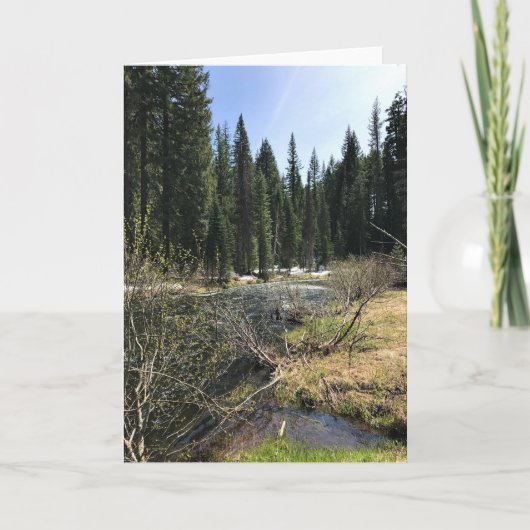Carte Muir Creek, Oregon (Devant)