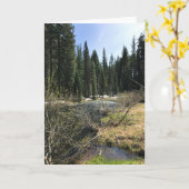 Carte Muir Creek, Oregon (Fleur jaune)