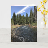 Carte Muir Creek, Oregon (Fleur jaune)