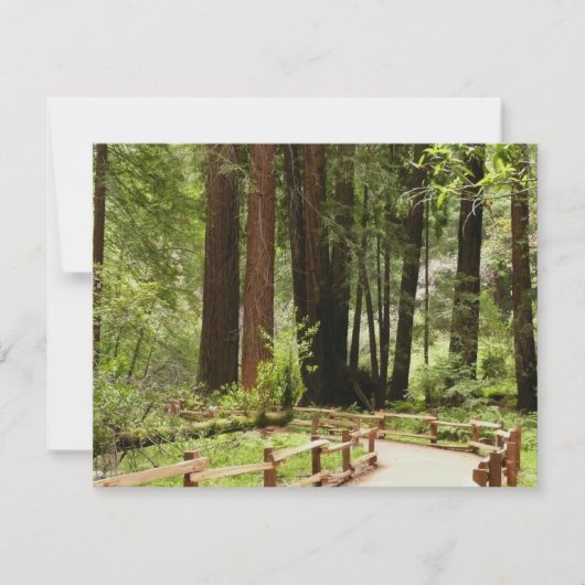 Carte Muir Woods Chemin I Nature Photographie (Devant)
