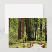 Carte Muir Woods Chemin I Nature Photographie (Devant / Derrière)
