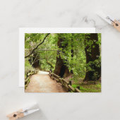 Carte Muir Woods Path II Nature Photography (Devant/Arrière en situation)