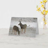 Carte Mule de buck and doe (Fleur jaune)