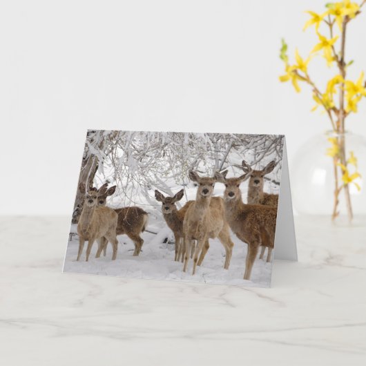 Carte Mule Deer Wyoming (Fleur jaune)