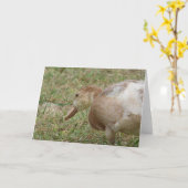 Carte Mule Duck (Fleur jaune)