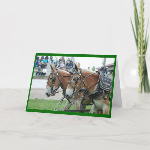 Carte Mule jours dans