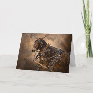 Carte Mules dans le harnais