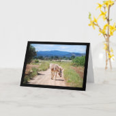 Carte Mulet espagnol sur route de campagne (Fleur jaune)