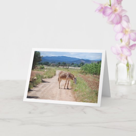 Carte Mulet espagnol sur route de campagne (Orchidée)