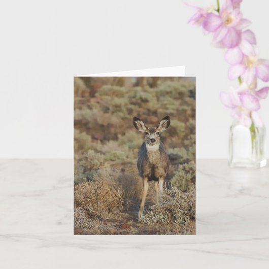Carte Muley in the Sage - 4" x 5.6" Notecard (Orchidée)