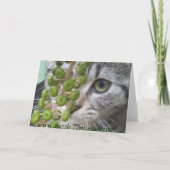 Carte multifonction Little Kitten (Dos)