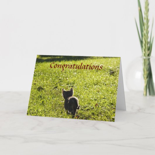 Carte multifonction Little Kitten (Devant)