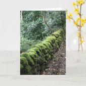 Carte Mur de pierres sèches couvert dans la mousse (Fleur jaune)