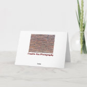 Carte Mur en briques (Dos)