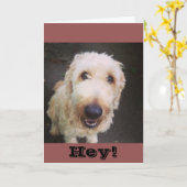 Carte Murray Greeting Card (Fleur jaune)