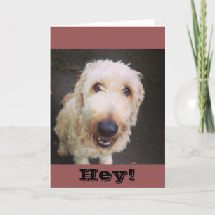 Carte Murray Greeting Card