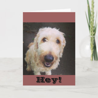 Carte Murray Greeting Card