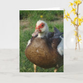 Carte Muscovy Hen (Fleur jaune)