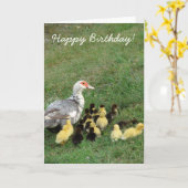 Carte Muscovy Hen Avec Des Colliers, Joyeux Anniversaire (Fleur jaune)